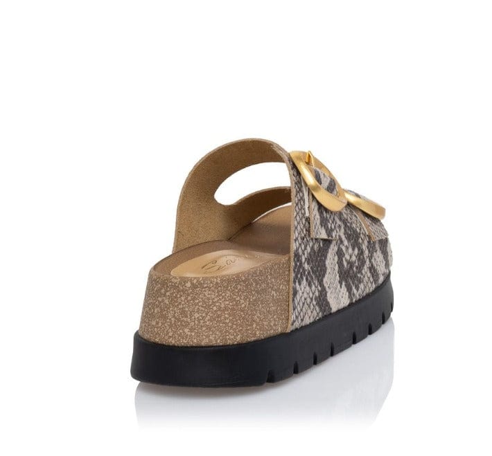 Γυναικεία Flats Sante 25-144 μπεζ φίδι Γυναικεία Flats Sante 25-144 μπεζ φίδι FLAT SANDALS SANTE